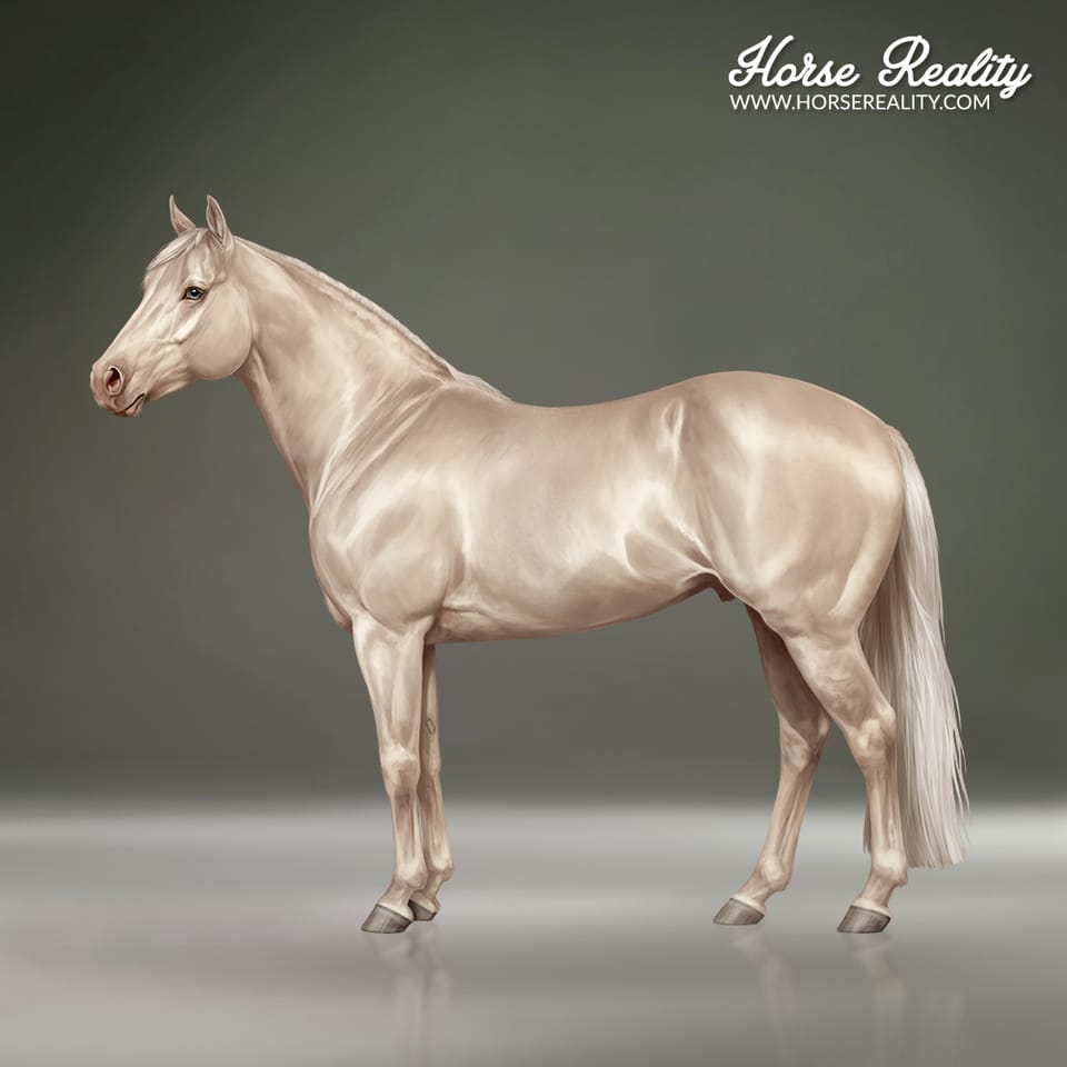 Palomino Pearl